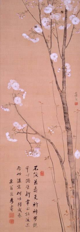 編集済）三熊思孝・柴野栗山 賛〈桜花図〉 - Sake Museum