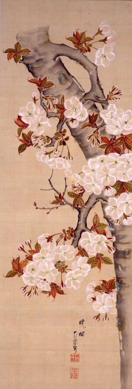 桜を描く ―三熊派の流儀― | 酒ミュージアム－白鹿記念酒造博物館